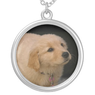 Golden Retriever Puppy Silver Plated Necklace