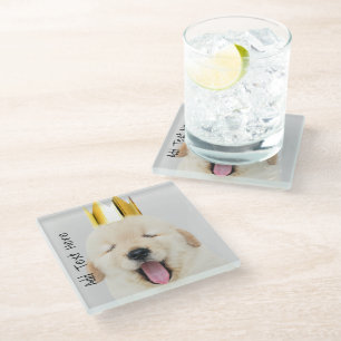 Golden Retriever Puppy Sleepy in Gold Crown Glass Coaster