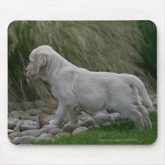 Golden Retriever Puppy Standing Mouse Pad (Front)