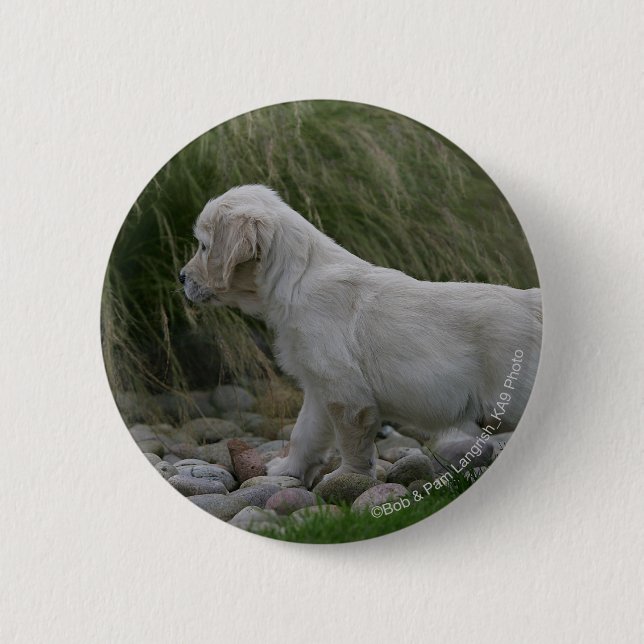 Golden Retriever Puppy Standing Pinback Button (Front)