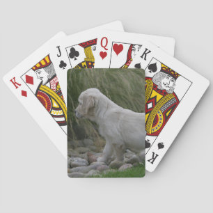 Golden Retriever Puppy Standing Poker Cards