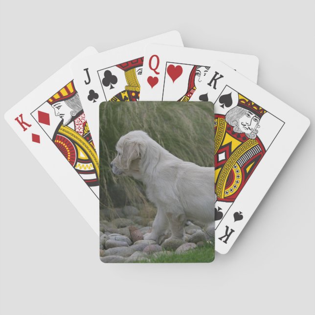 Golden Retriever Puppy Standing Poker Cards (Back)