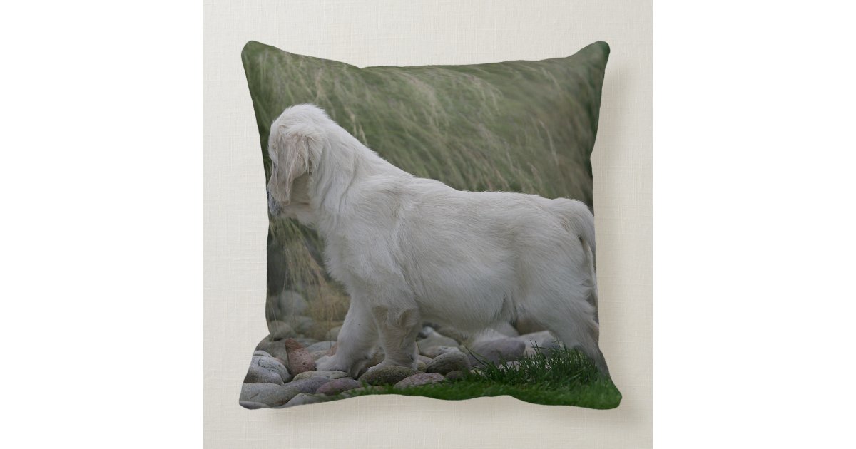 golden retriever cushions