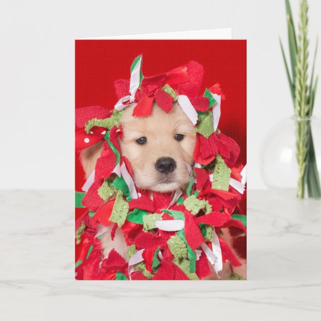 Golden Retriever Puppy Tangled in Garland Card (Front)