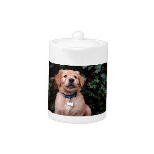 Golden Retriever Puppy Teapot