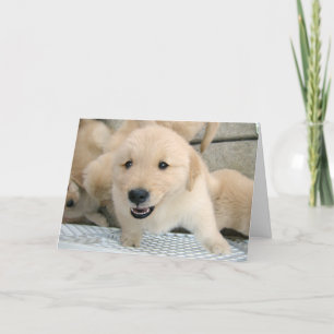 Golden Retriever Puppy Therapy Get Well Card