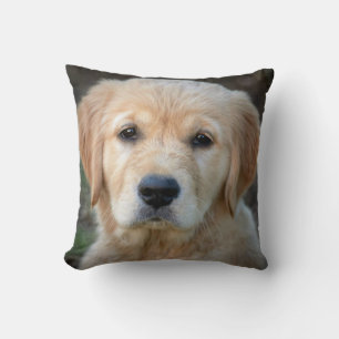 Golden Retriever Puppy Throw Pillow