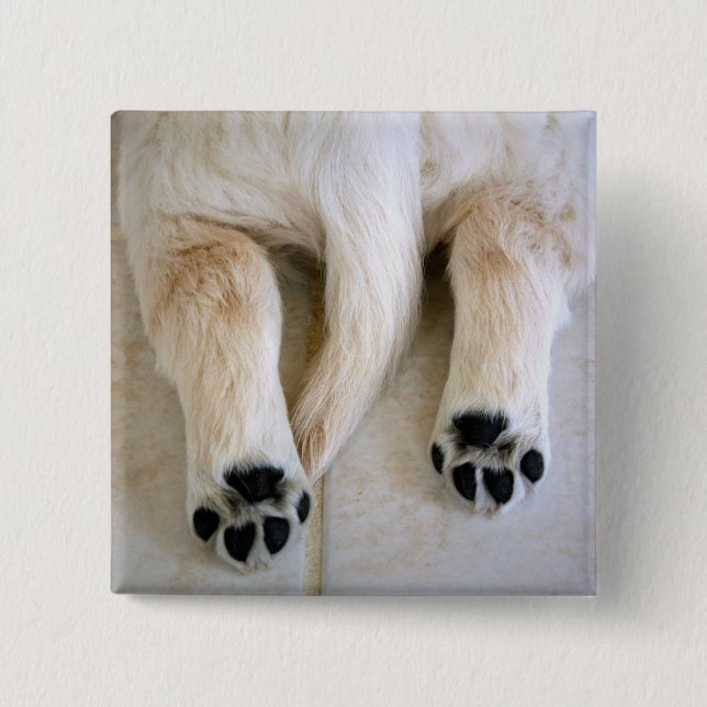 Golden Retriever Puppy Toes Button (Front)