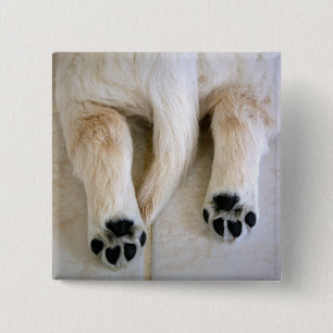 Golden Retriever Puppy Toes Button