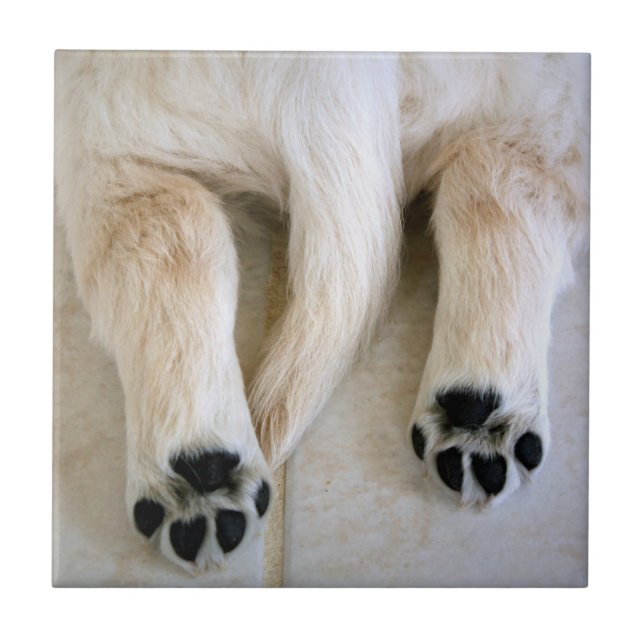 Golden Retriever Puppy Toes Ceramic Tile (Front)