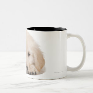 Golden retriever puppy Two-Tone coffee mug
