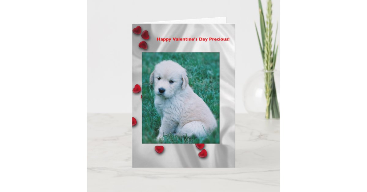 Golden Retriever Puppy Valentine S Day Card Zazzle Com
