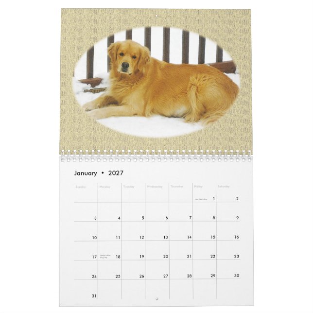 Golden Retriever Puppy Wall Calendar (Jan 2027)