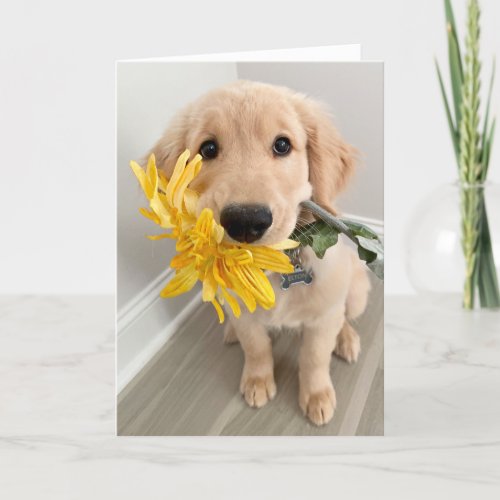 Golden Retriever Puppy With Flower Mothers Day Card
