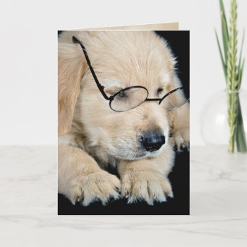 Golden Retriever Puppy With Glasses Card by dryfhout at Zazzle