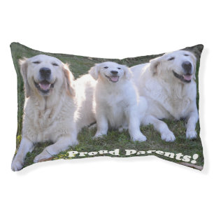 Golden Retriever Puppy with Proud Parents Pet Bed