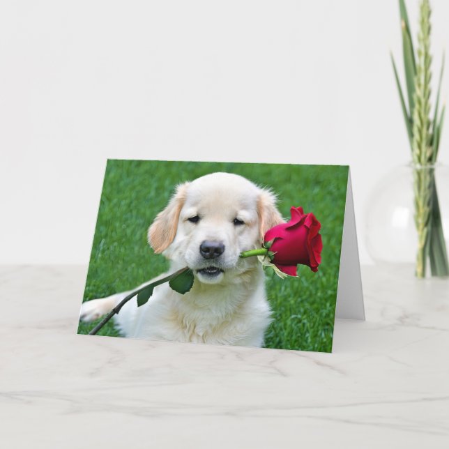 Golden Retriever Puppy with Red Rose Card (Front)