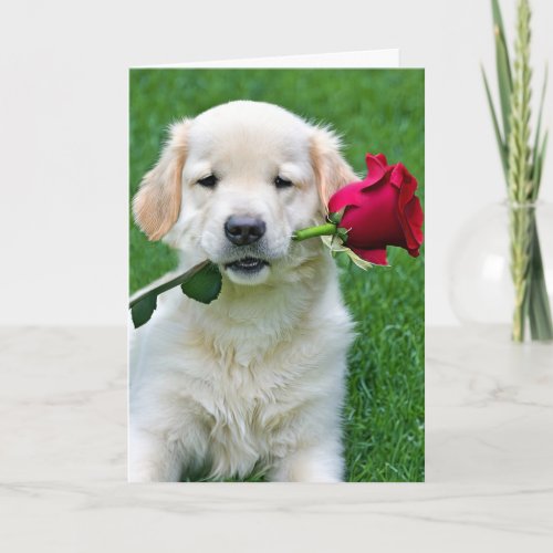 Golden Retriever Puppy with Red Rose Card