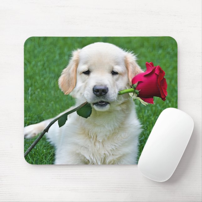 Golden Retriever Puppy with Red Rose Mouse Pad (With Mouse)