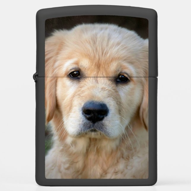 Golden Retriever Puppy Zippo Lighter (Front)