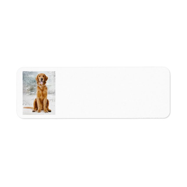 Golden Retriever Return Address Label (Front)