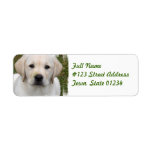 Golden Retriever Return Address Label
