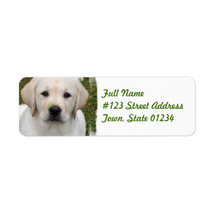 Golden Retriever Return Address Label