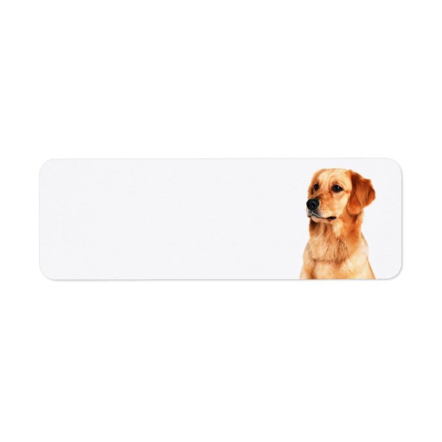 Golden Retriever Return Address Label (Front)