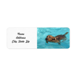 Golden Retriever Return Address Label, Swim Label
