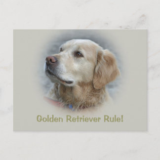 Golden Retriever Rule! - Card