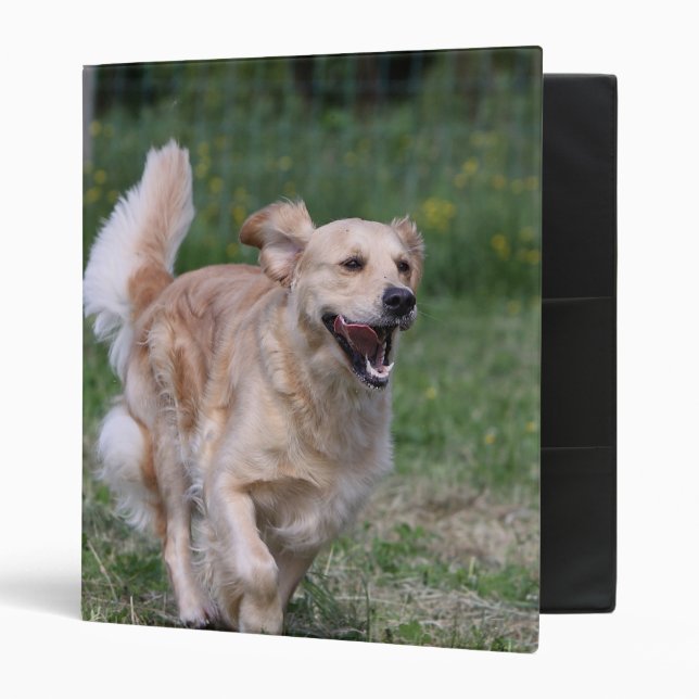 Golden Retriever Running 1 Binder (Front/Inside)