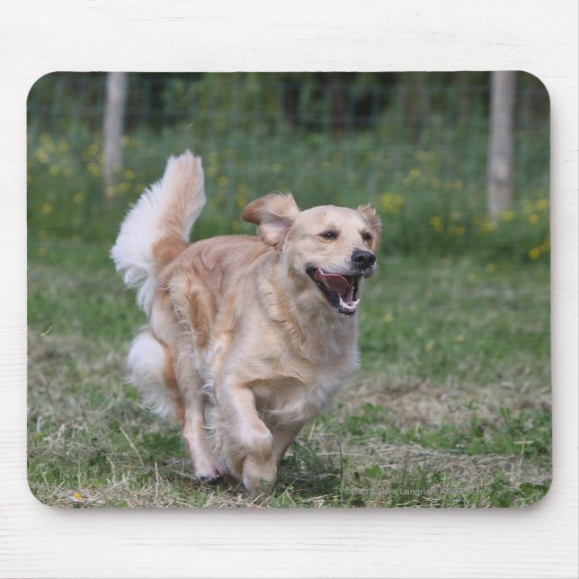 Golden Retriever Running 1 Mouse Pad (Front)
