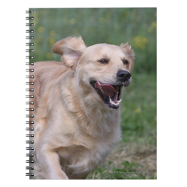 Golden Retriever Running 1 Notebook (Front)