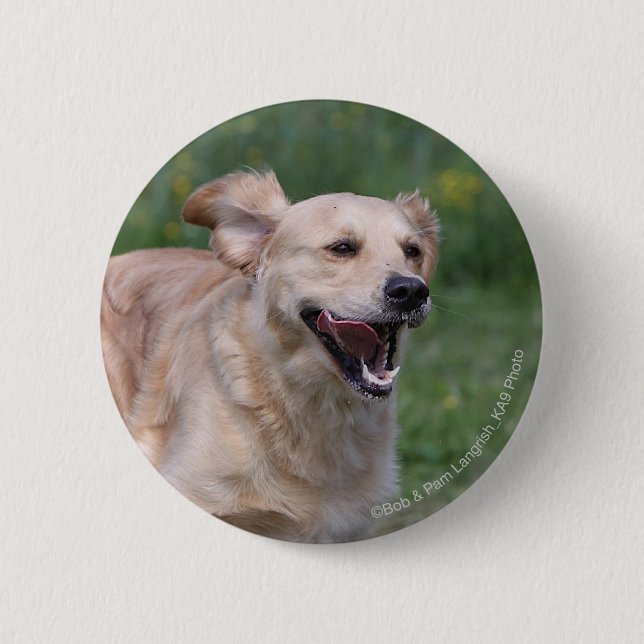 Golden Retriever Running 1 Pinback Button (Front)