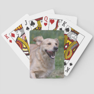 Golden Retriever Running 1 Poker Cards