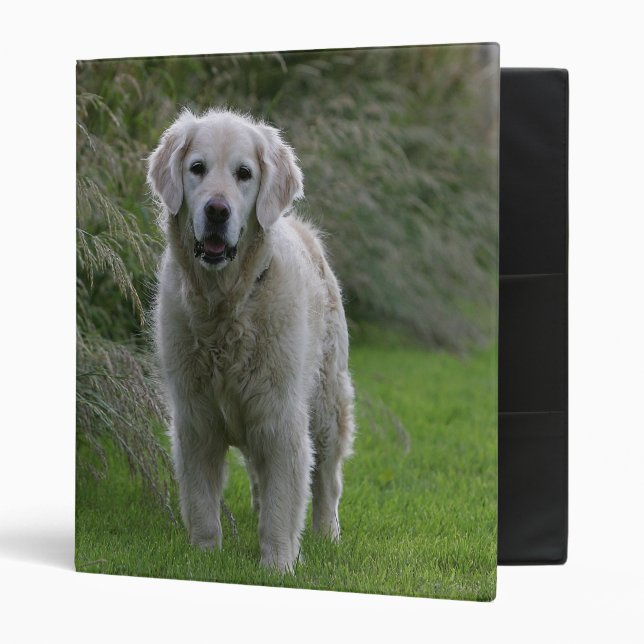 Golden Retriever Running 2 Binder (Front/Inside)