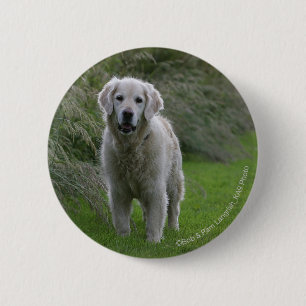 Golden Retriever Running 2 Button