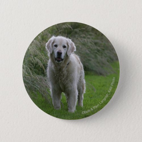 Golden Retriever Running 2 Button