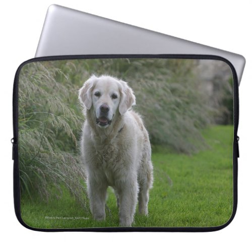 Golden Retriever Running 2 Laptop Sleeve