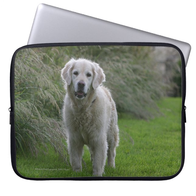 Golden Retriever Running 2 Laptop Sleeve (Front)