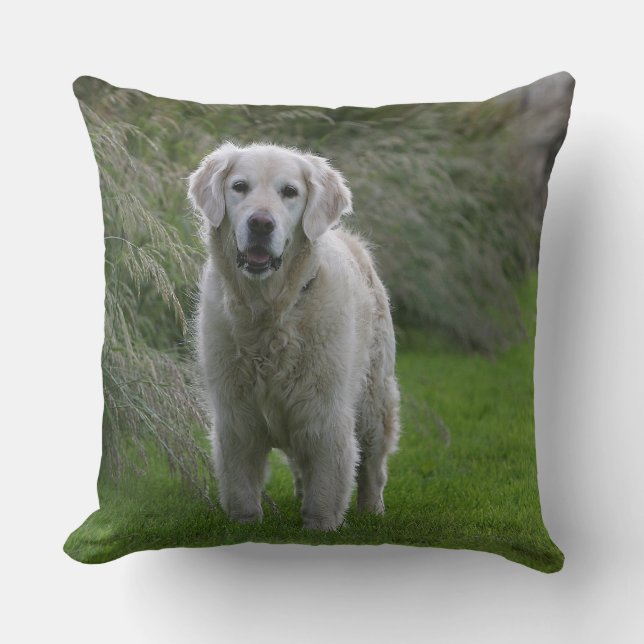 Golden Retriever Running 2 Throw Pillow (Front)