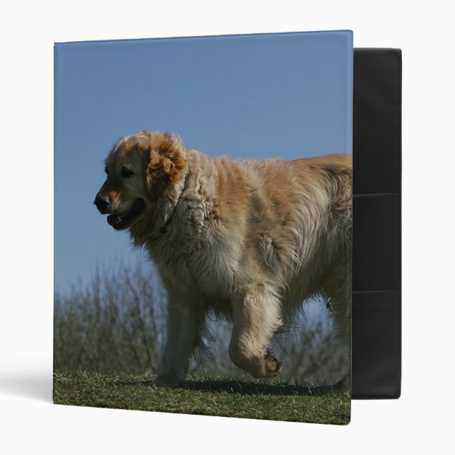Golden Retriever Running 3 Binder (Front/Inside)