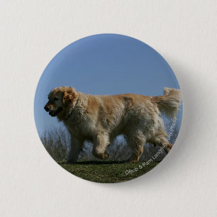 Golden Retriever Running 3 Button