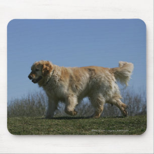 Golden Retriever Running 3 Mouse Pad