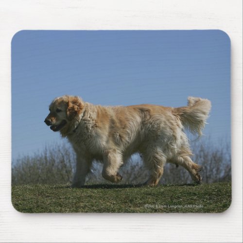 Golden Retriever Running 3 Mouse Pad