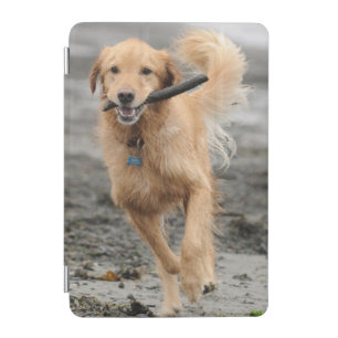 Golden Retriever Running With  Stick In Mouth iPad Mini Cover