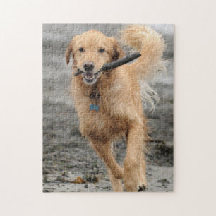 Golden Retriever Running With  Stick In Mouth Jigsaw Puzzle