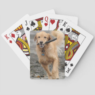Golden Retriever Running With  Stick In Mouth Poker Cards