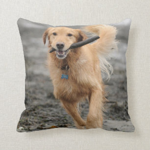 Golden Retriever Running With Stick In Mouth Throw Pillow