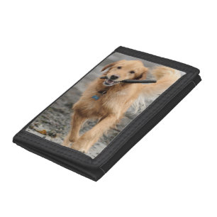 Golden Retriever Running With Stick In Mouth Tri-fold Wallet